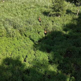 Zakończenie sezonu pstrągowego 2025 