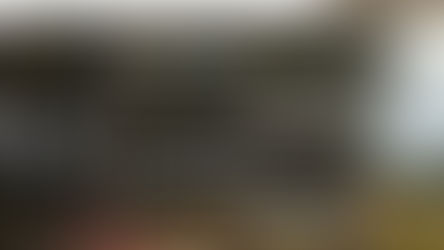 VII Rajd rowerowy na szagę przez Puszczę