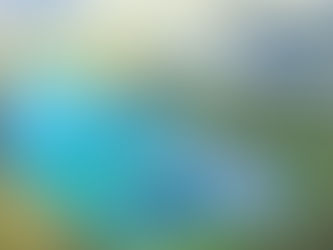 Drawieński Park Narodowy z lotu ptaka