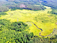 Gdzie na kajaki w Lubuskiem? 10 najciekawszych rzek na spływ kajakowy