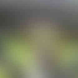 Oczami dziecka – niezwykłe spojrzenie Pani Teresy