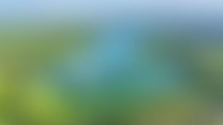 Najpiękniejsze jeziora Lubuskiego z drona – TOP miejsca, które musisz zobaczyć