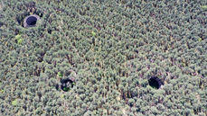 Tajemnice Lubuskiego: Opuszczony kombinat DAG Alfred Nobel w Krzystkowicach