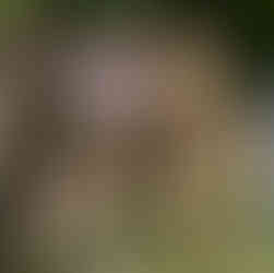 Wędkowanie połączyło służby nad Obrą