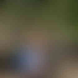 Madagaskar – raj, który uczy pokory