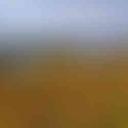 Jezioro Lipie w Długiem – jesienny oddech natury