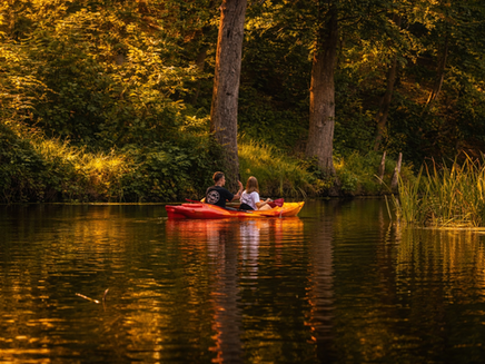 Postomia: Tajemnice Rezerwatu z Kajaka – Witaj Wiosno na Najpiękniejszym Szlaku Lubuskiego