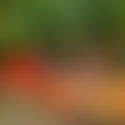 Gorzowski spływ miejski rzeką Kłodawką ze Stowarzyszeniem EuroJumelages – aktywnie i blisko natury! 