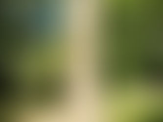 Park Miłości im. Michaliny Wisłockiej w Lubniewicach – romantyczna atrakcja, która podbija serca turystów