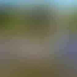 Smocze łodzie w Gorzowie – sport, integracja i świetna zabawa nad wodą