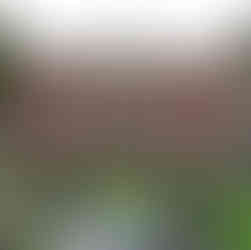 XIV Międzynarodowy Rajd Euro Jumelages NYSA–ODRA 2025