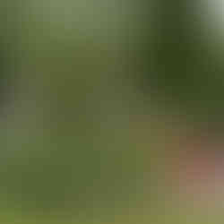 Folwark Długie – Idealne Miejsce na Wyjątkowe Eventy