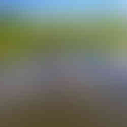 Smocze łodzie w Gorzowie – sport, integracja i świetna zabawa nad wodą