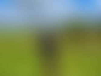 Pierwszy niewidomy golfista z Polski na EDGA Spanish Open 2026 – Grzegorz Kłak inspiruje świat swoją historią