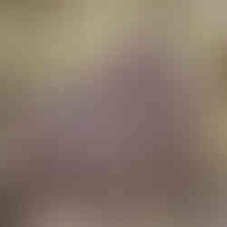 Marzęcin (Marienspring) – nieistniejąca wieś w gminie Kłodawa. Historia, ruiny i miejsce pamięci