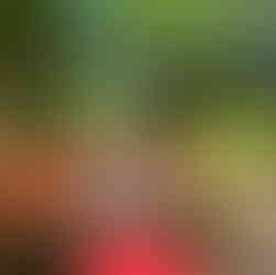 Gorzowski spływ miejski rzeką Kłodawką ze Stowarzyszeniem EuroJumelages – aktywnie i blisko natury! 