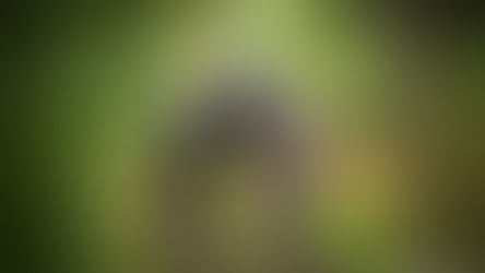 Przygody w siodle w Stajni Dakota – Rajdy Konne