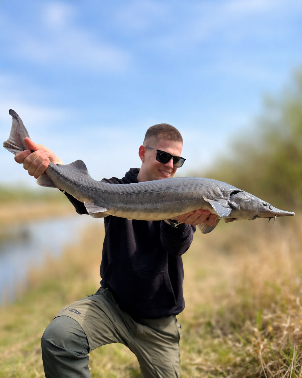 Jak łowić jesiotra w mieście? Kompletny poradnik na wielkie ryby
