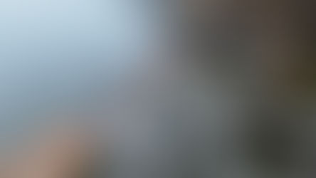 Gorąca atmosfera nad jeziorem Trześniowskim – morsowanie z wielkim sercem w Łagowie