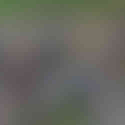 Powrót nurtu. Wiosenne przebudzenie Kłodawki