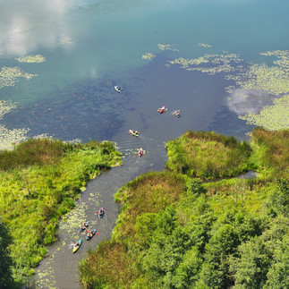 Gdzie na kajaki w Lubuskiem? 10 najciekawszych rzek na spływ kajakowy