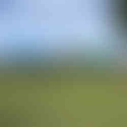 Gminne Święto Plonów w Dobiegniewie – radość, tradycja i wspólne świętowanie