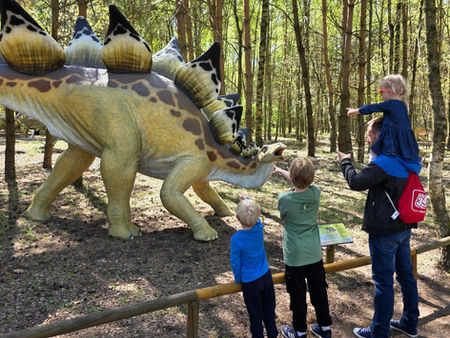 Park Dinozaurów Nowiny Wielkie – najlepsza atrakcja dla dzieci w Lubuskiem | Rodzinny hit bez nudy