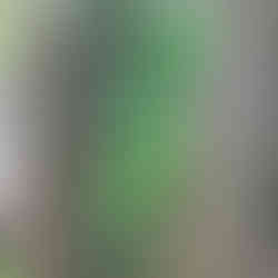 Madagaskar – raj, który uczy pokory