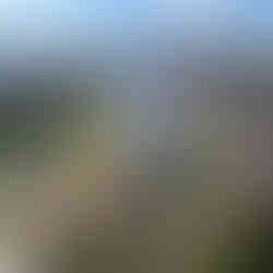 Smocze łodzie w Gorzowie – sport, integracja i świetna zabawa nad wodą