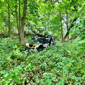 Społecznicy pokazali, że razem można góry (śmieci) przenosić!
