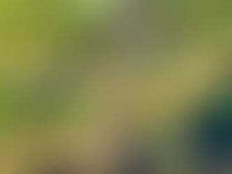 Lubuskie na trasie emocji – relacja z Armagedonu