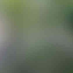 Lubuski Armagedon 4x4 – ruszyły przygotowania trasy!