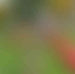 Społecznicy pokazali, że razem można góry (śmieci) przenosić!