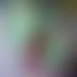 Amazonia w Lubuskiem