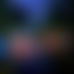 Obra po zmroku – nocny spływ kajakowy