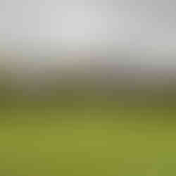 Społecznicy pokazali, że razem można góry (śmieci) przenosić!