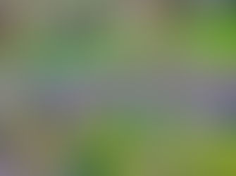 Powrót nurtu. Wiosenne przebudzenie Kłodawki