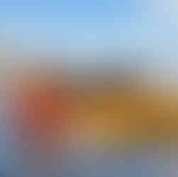 Lubuskie z kajaka – wiosenny spływ kajakowy Wartą Gorzów–Świerkocin