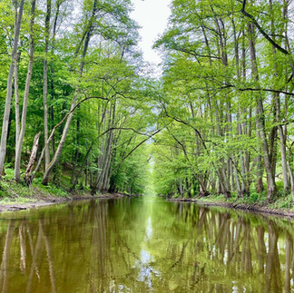 Spływy kajakowe z El Canoe na rzece Obrze!