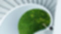 Environment
