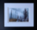 Thumbnail: Caribou Wind
