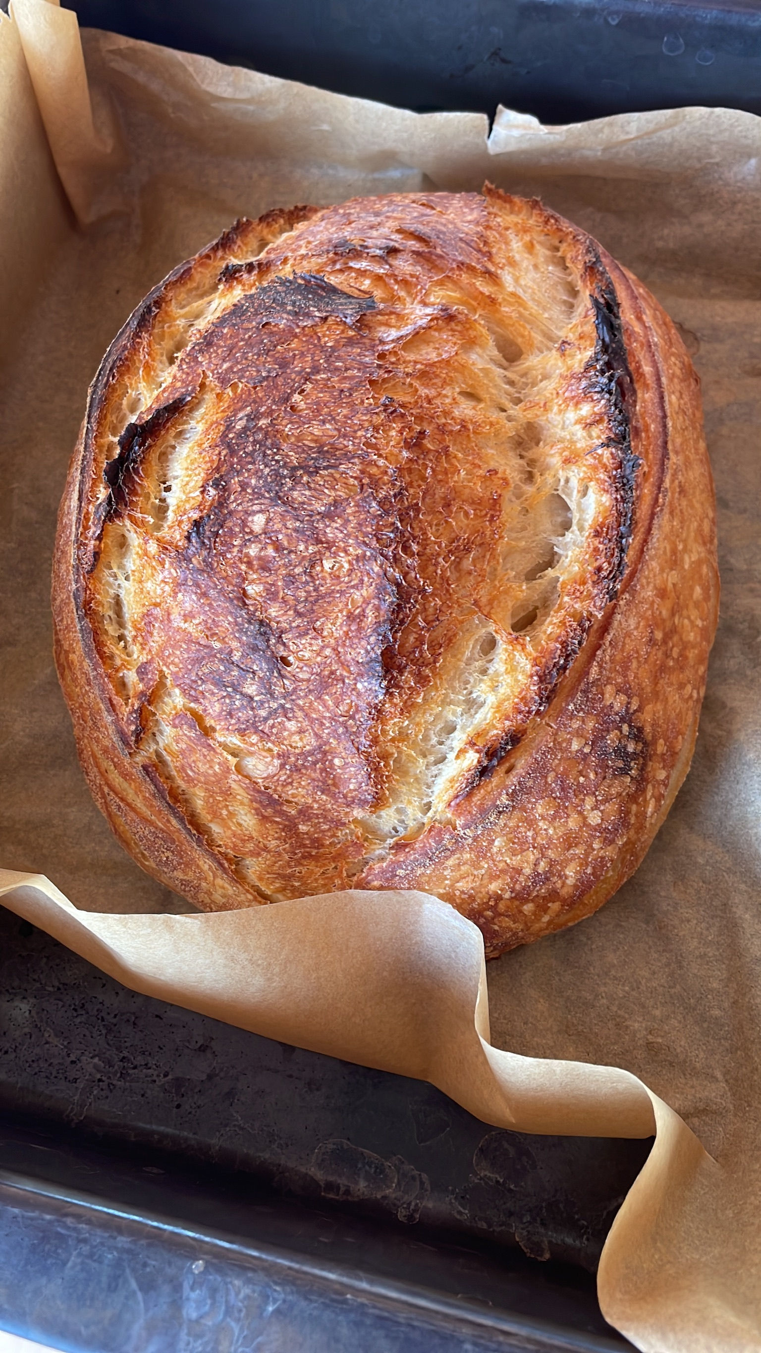 Online Course with Starter