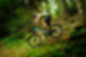 bike_rent_sabolo.jpg