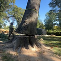 View recent photos.jpeg