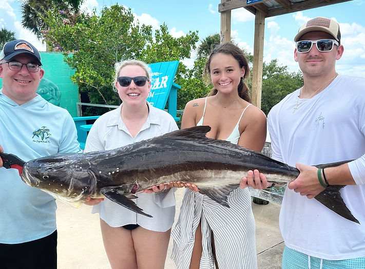 Cobia offshore fish