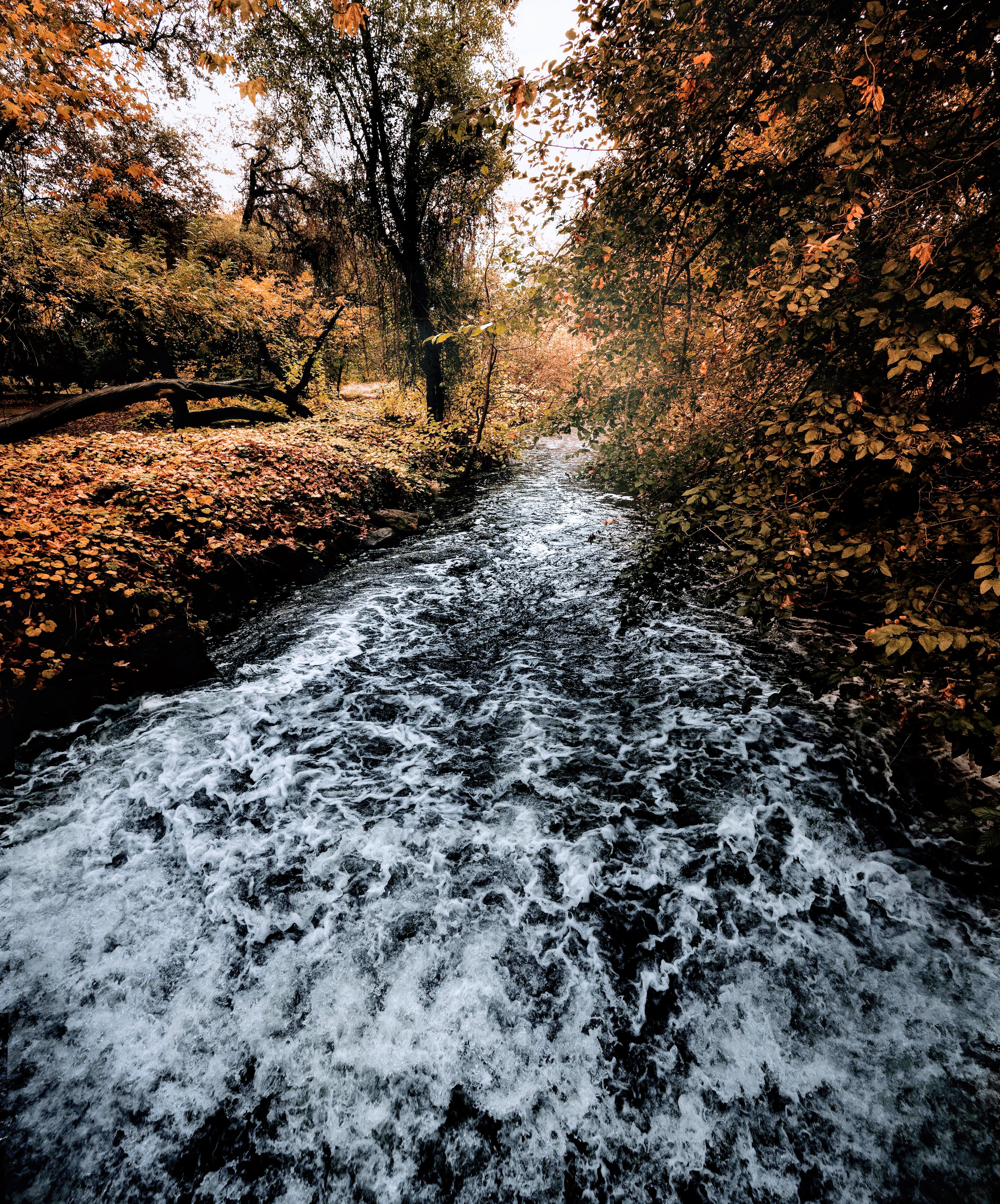 Big Chico Creek