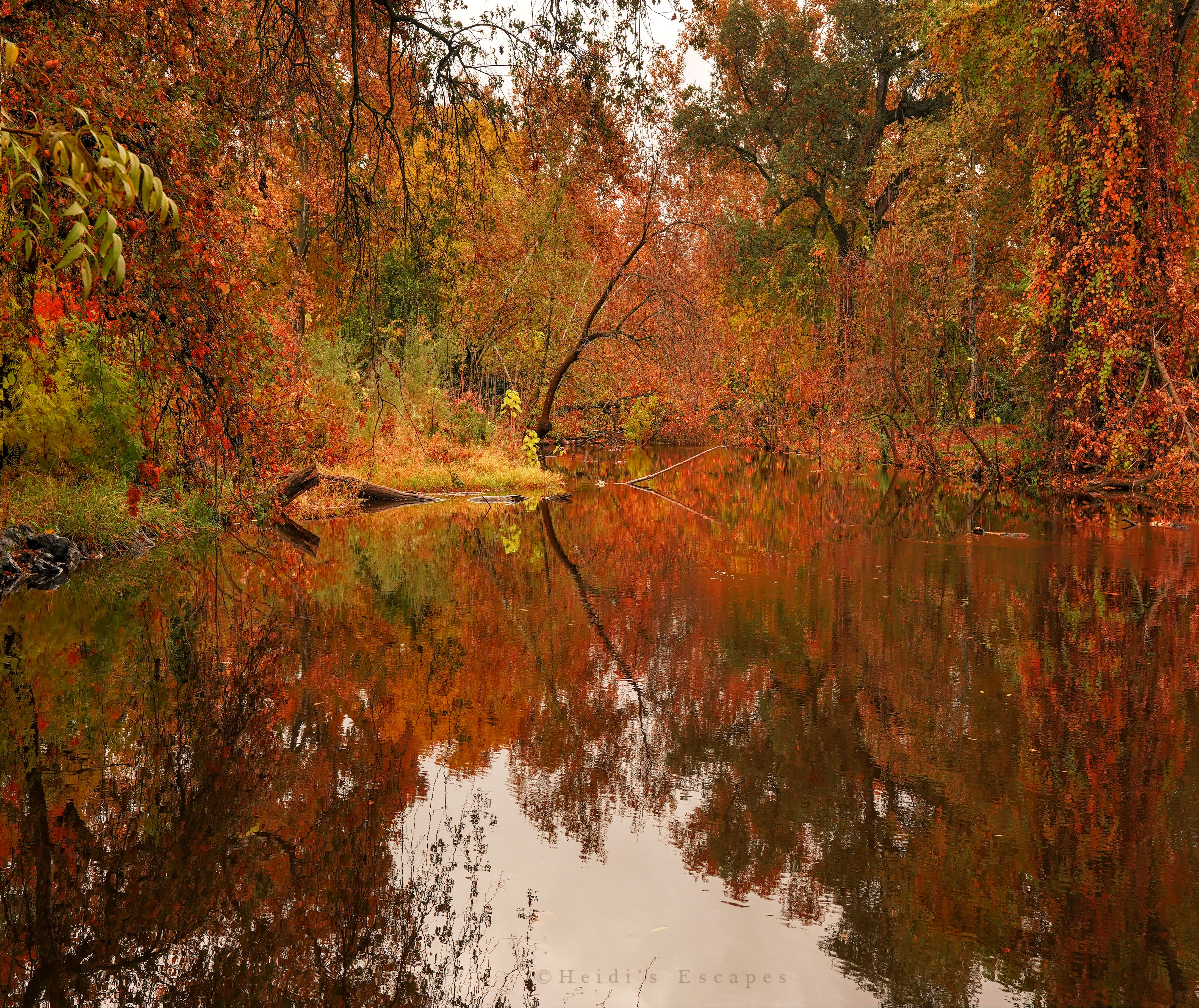 Autumn 2018