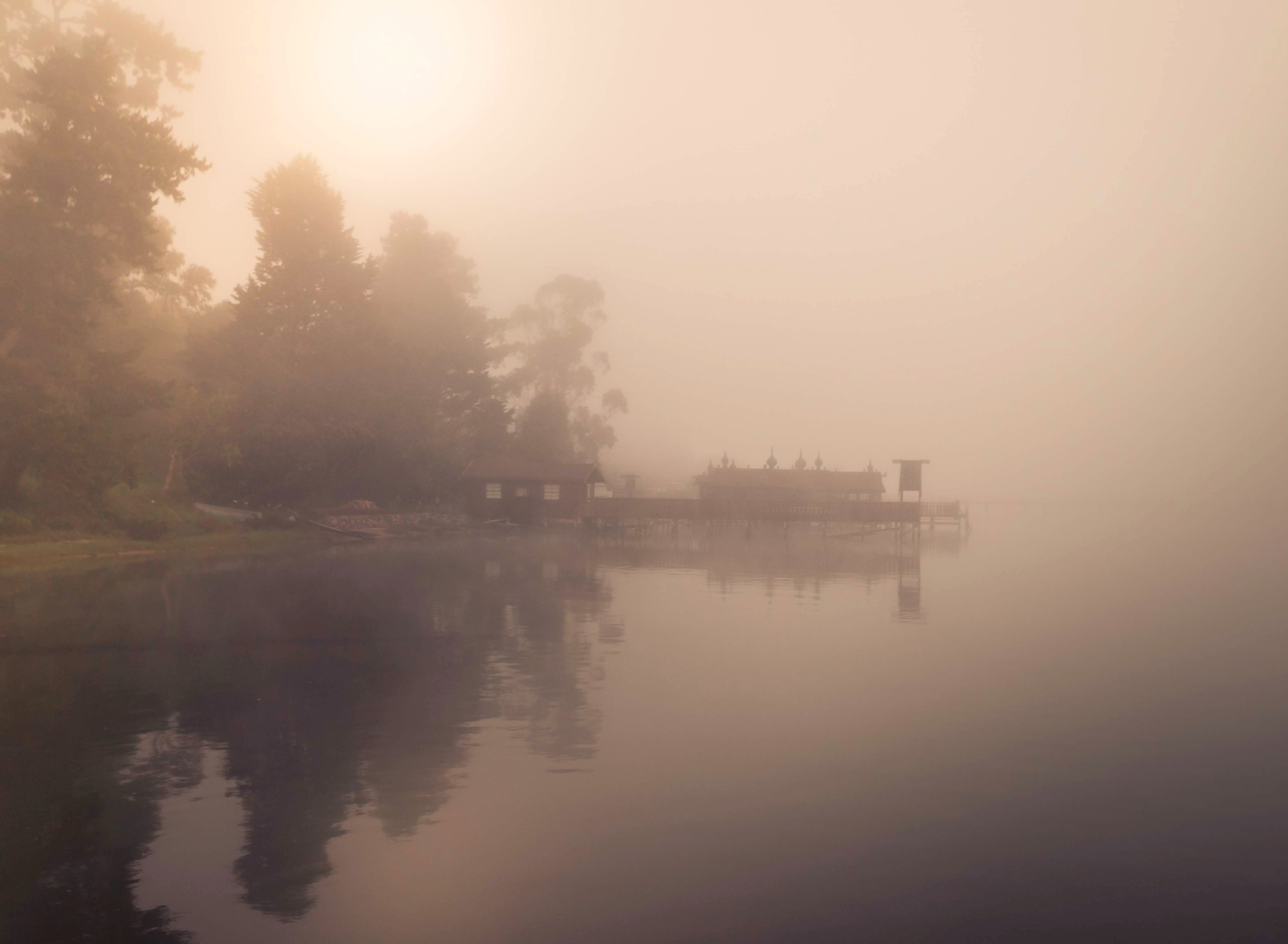 Foggy Sunrise