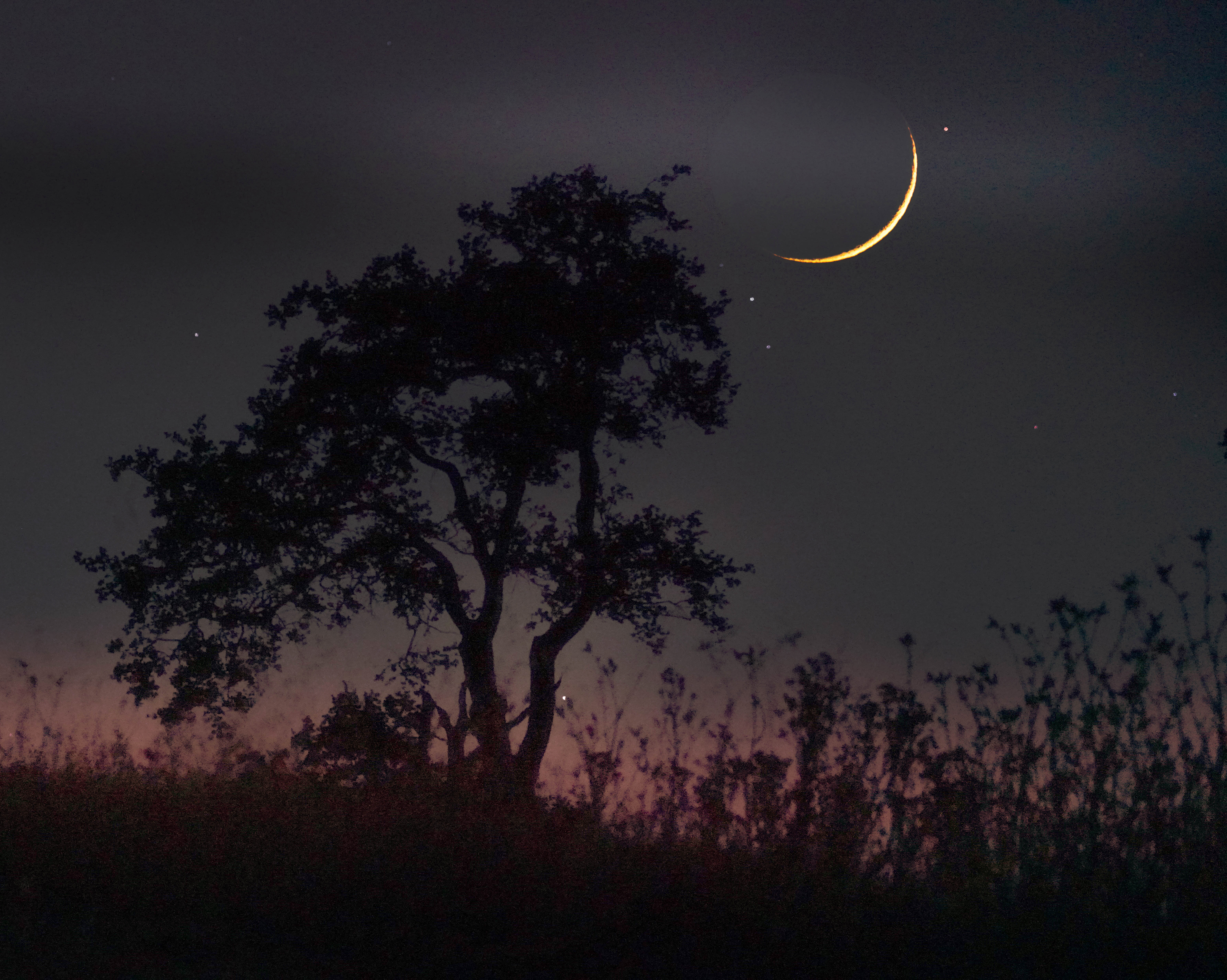 New Crescent Moon