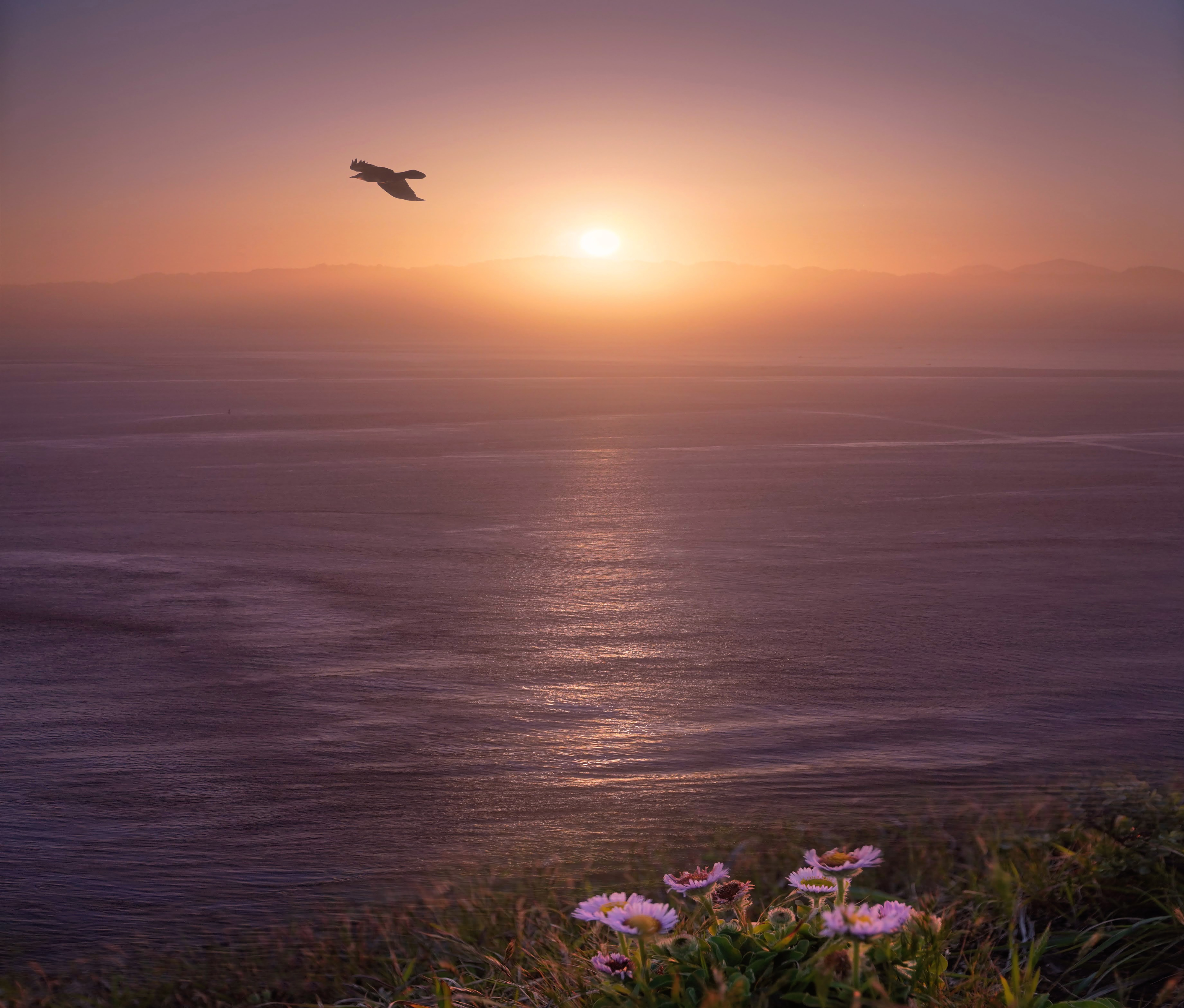 Sunset at the Presidio